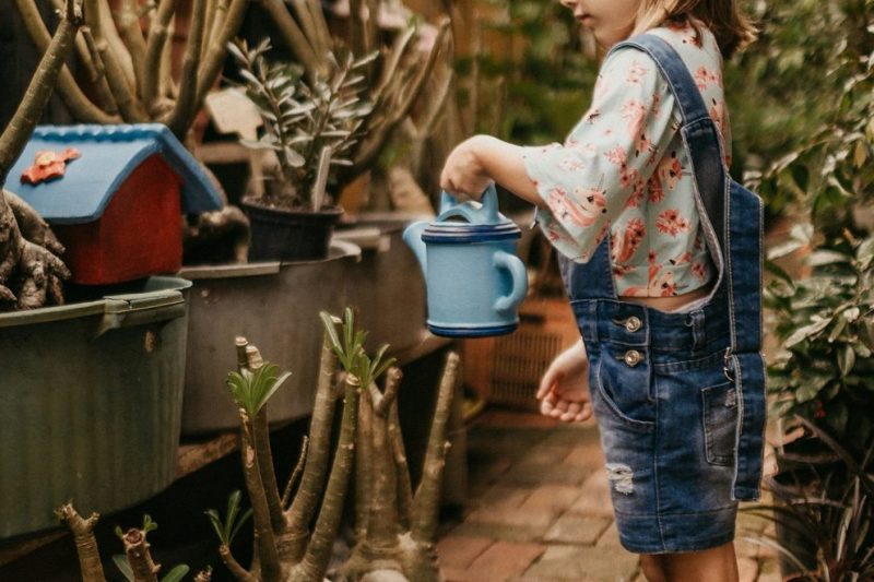 5 món cháo dinh dưỡng giúp bé tăng cân khỏe mạnh