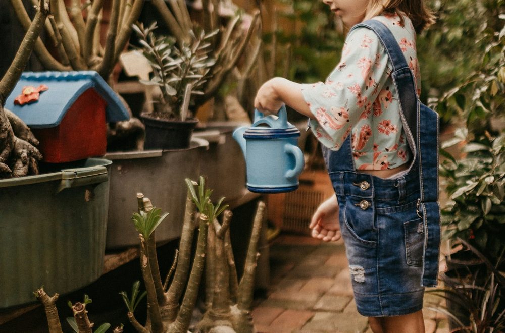 5 món cháo dinh dưỡng giúp bé tăng cân khỏe mạnh